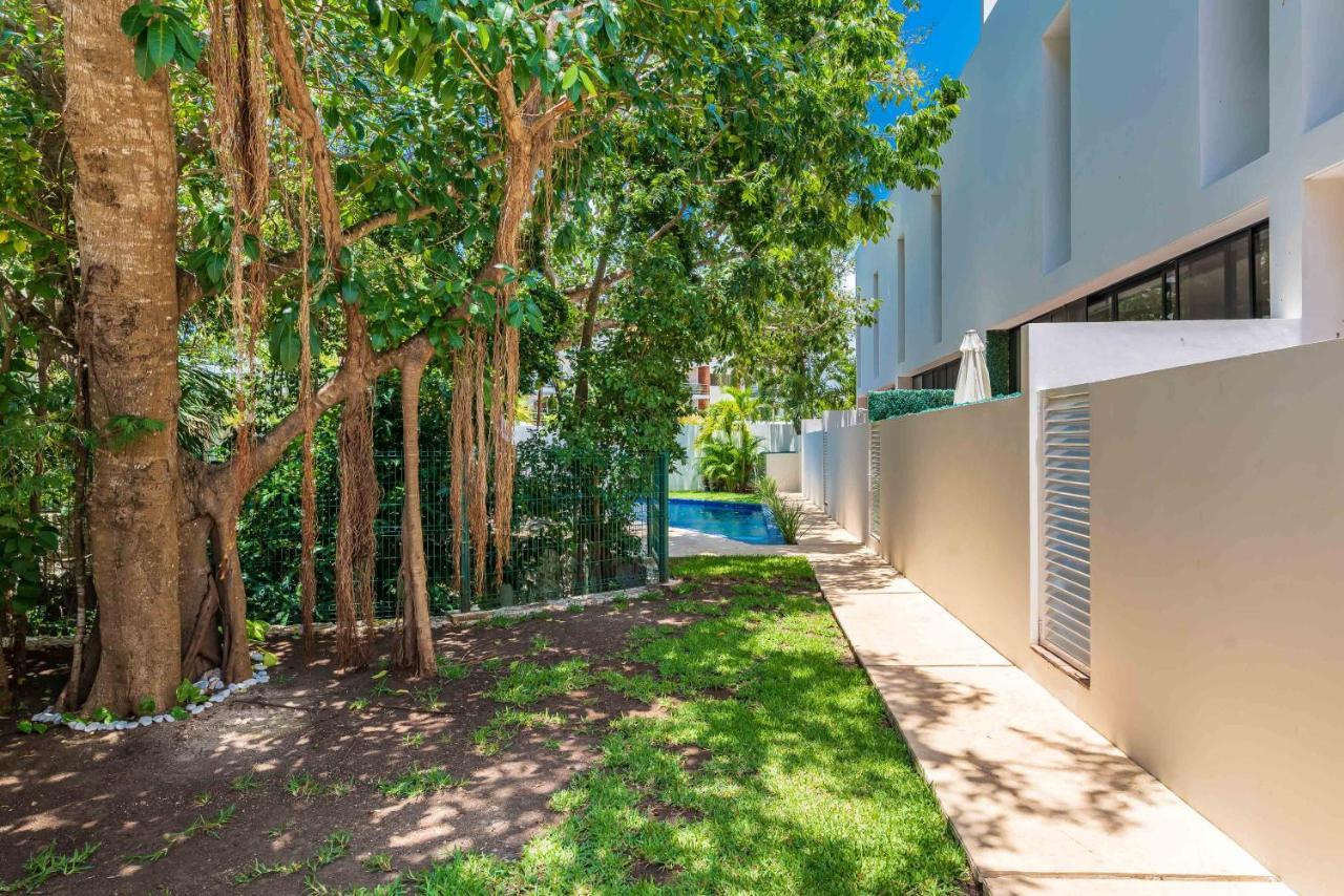 פלאייה דל כרמן Entire House- 3Br With Private Roof Top Deck מראה חיצוני תמונה